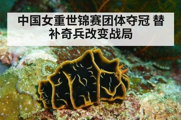 中国女重世锦赛团体夺冠 替补奇兵改变战局